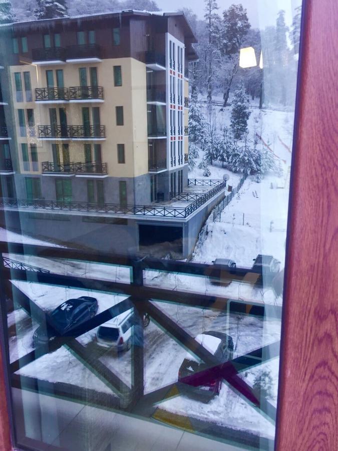 Комплекс Bakuriani Residence 87 Экстерьер фото